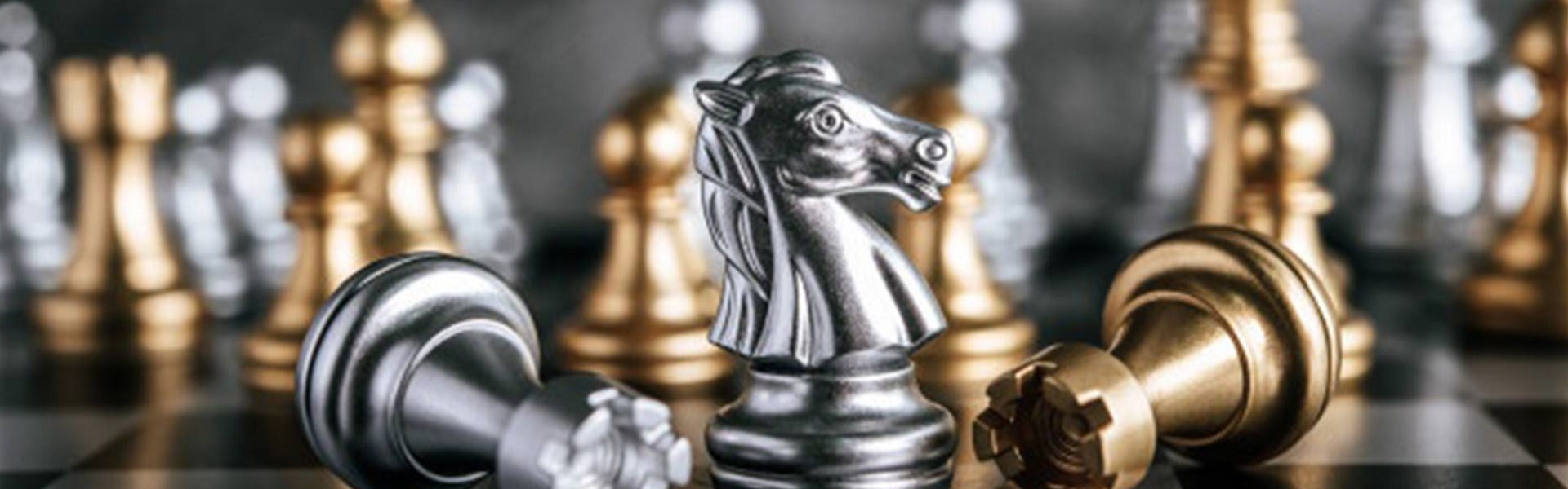 Skidanje Fleka |  Chess lessons Dubai & New York