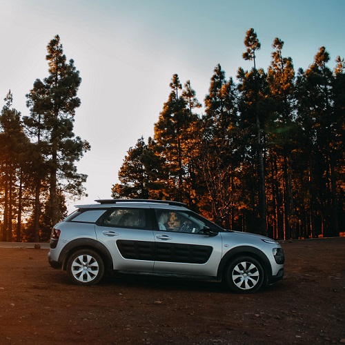 Skidanje Fleka | Pežo Citroen delovi